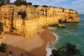 Large cliff at Portuguese beach