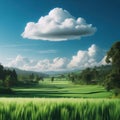 A large cloud hanging over green fields and meadows. Royalty Free Stock Photo