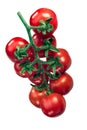 Cluster of tomatoes on the vine tov, hanging