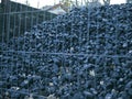 Large coal supply stored outside
