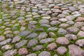 Large cobblestone path in the garden Royalty Free Stock Photo