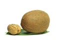 Large coconut 4