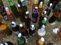 Large collection of beer bottles