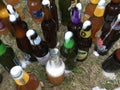 Large collection of beer bottles