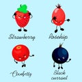 Large collection berries. berry character with eyes. White background. Healthy food. Card for children learning