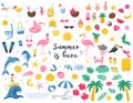 A large collection of bright summer design elements. Cocktails, botany, animals, beach accessories, tropical fruits, sweet food.