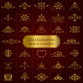 Large collection of golden ornate calligraphic design elements - vector set