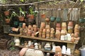 Large collection of old terra cotta flower pots