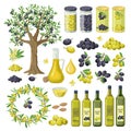 Large collection of olives food, products, olive oil bottles, olive tree, groups of black and green olives, canned Royalty Free Stock Photo