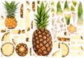 Pineapple Slice and Leaf Collection Royalty Free Stock Photo
