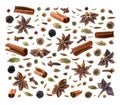 Large collection of seasonings and spices on a white background Royalty Free Stock Photo