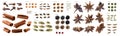 Large collection of seasonings and spices on a white background Royalty Free Stock Photo