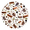 Large collection of seasonings and spices on a white background Royalty Free Stock Photo