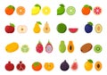 Large collection of tropical, exotic, citrus fruits. Icon set of cutaway fruits. Pairs of fruit, whole and cut in half. Flat