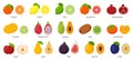 Large collection of tropical, exotic, citrus fruits with names. Set of cutaway fruits. Pairs of fruit, whole and cut in half. Flat