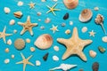 Large collection of various seashells on a blue wooden background, top view