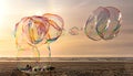 Sunlight refracting through Large colorful bubbles on the ocean coast during sunset.