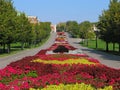 Large colorful flowerbed