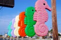Colorful seahorses Royalty Free Stock Photo