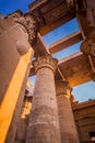 Large columns stand erect at Kom Ombo temple near Cairo Royalty Free Stock Photo