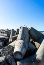 Large concrete breakwaters to protect from storm surges.