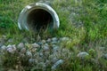 A large concrete pipe for diverting the river under the highway. Leaky dirty water from large concrete pipes. Dirty sewage from