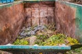 Large container with green waste in public park, recycling or plants, composting Royalty Free Stock Photo