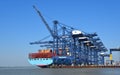 Large Container Ship being loaded at Felixstowe Port.