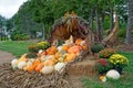 Large cornucopia autumn display outdoors