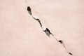 A large crack on the pink wall Royalty Free Stock Photo