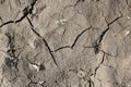 Large cracks on dry ground close up Royalty Free Stock Photo