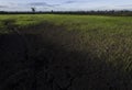 Large cracks in soil in rice field