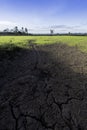 Large cracks in soil in rice field