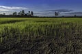 Large cracks in soil in rice field Royalty Free Stock Photo