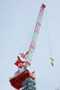 Large crane for construction