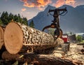 Crane grabbing large tree trunk in mountainous logging area at sunset grabber machinery Royalty Free Stock Photo