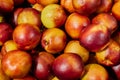 Large crop of plums on the counter of the store
