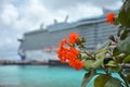 Large cruise ship in Kralendijk port, Bonaire, Caribbean
