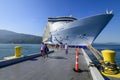 Large Cruise ship view from the disembarking dock in Haiti.