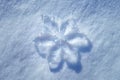 Large Crystal Snowflake on Pristine Snow Royalty Free Stock Photo