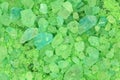 Large crystals of salt green background Royalty Free Stock Photo