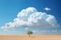 a large cumulus cloud over tree in a desert, a beautiful landscape with blue sky as an abstract summer background Royalty Free Stock Photo
