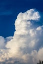 Large Cumulus Congestus Cloud