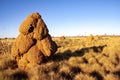 Large cumulus termite mounds in Western Australia