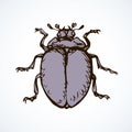 Beetle. Vector drawing