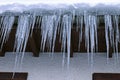 Large dangerous icicles on a house roof in winter