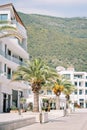 Large date palms grow next to modern hotels at the foot of the mountains