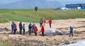 Large dead Sperm Whale washup up on a beach on Iceland