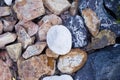 Large decorative rocks and stones