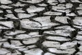 Large and deep cracks on the dry ground Royalty Free Stock Photo